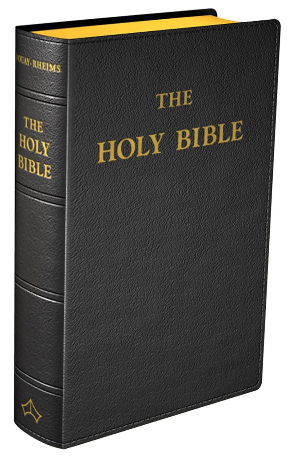 Douay-Rheims Bible, leather Catholic