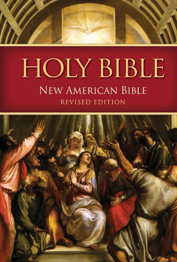 NABRE Catholic Bible paperback